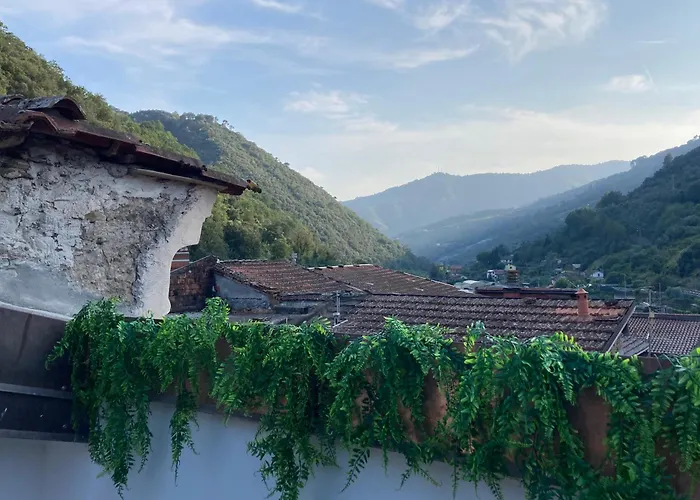 Casa Gaia, La Casa Sui Tetti