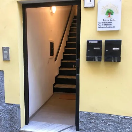 Casa Gaia, La Casa Sui Tetti *