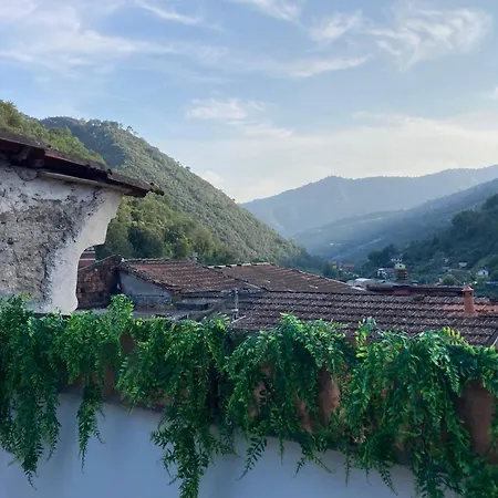 Casa Gaia, La Casa Sui Tetti